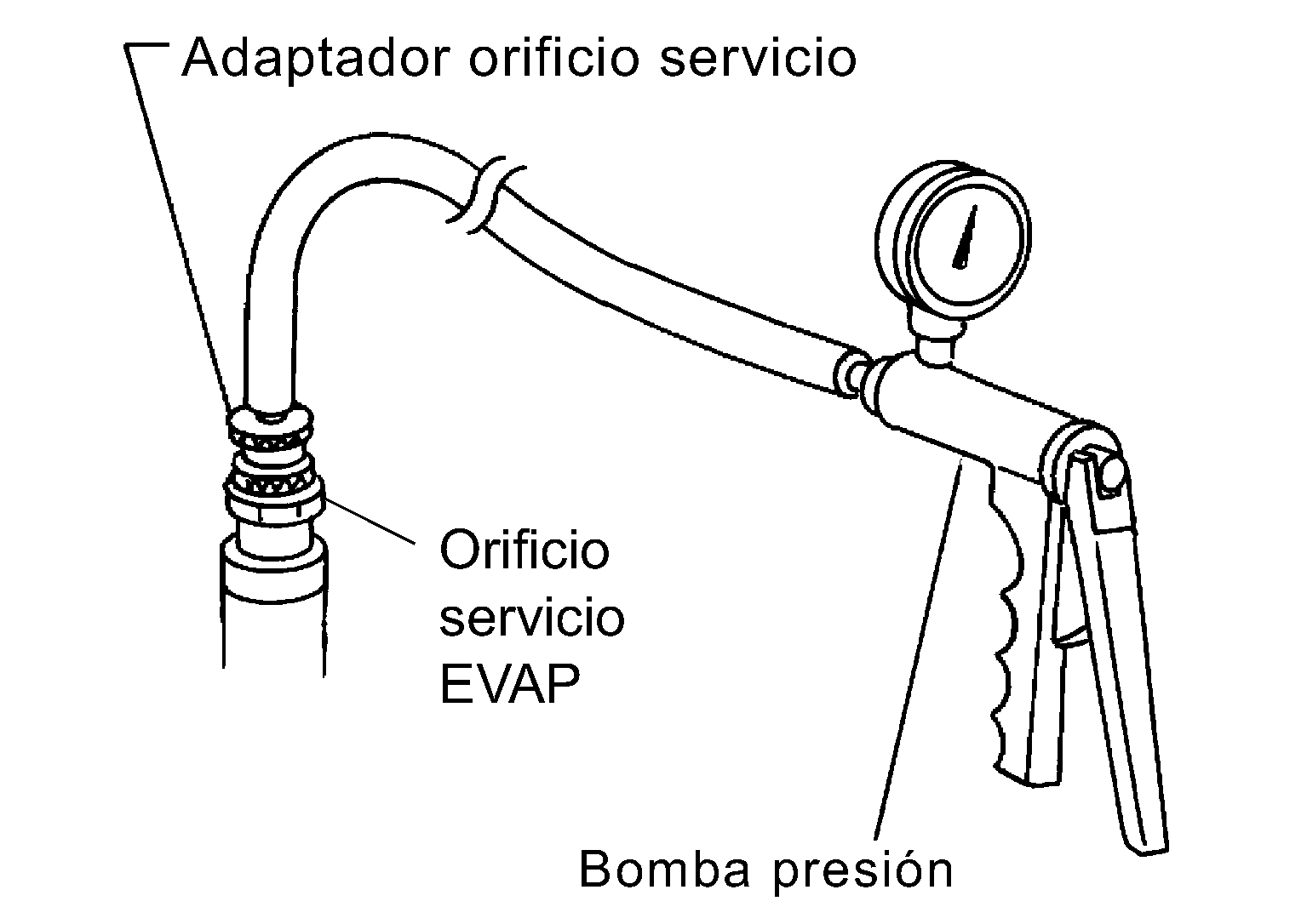 GNSDB135225