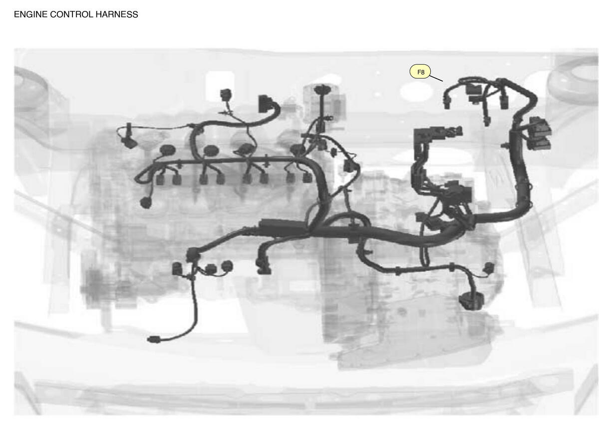 GNSW83164_LK_F008