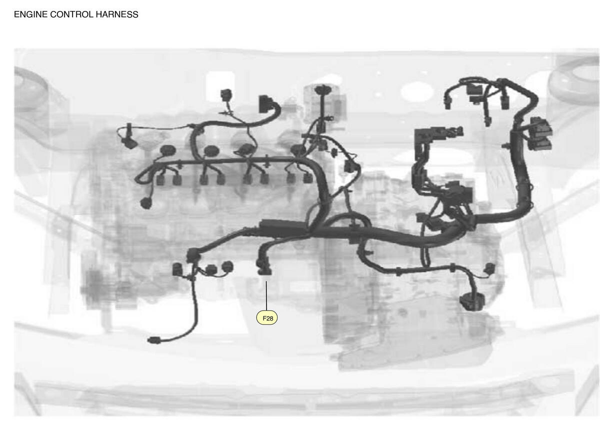 GNSW83164_LK_F028