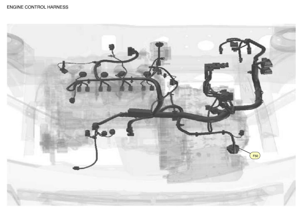 GNSW83164_LK_F050