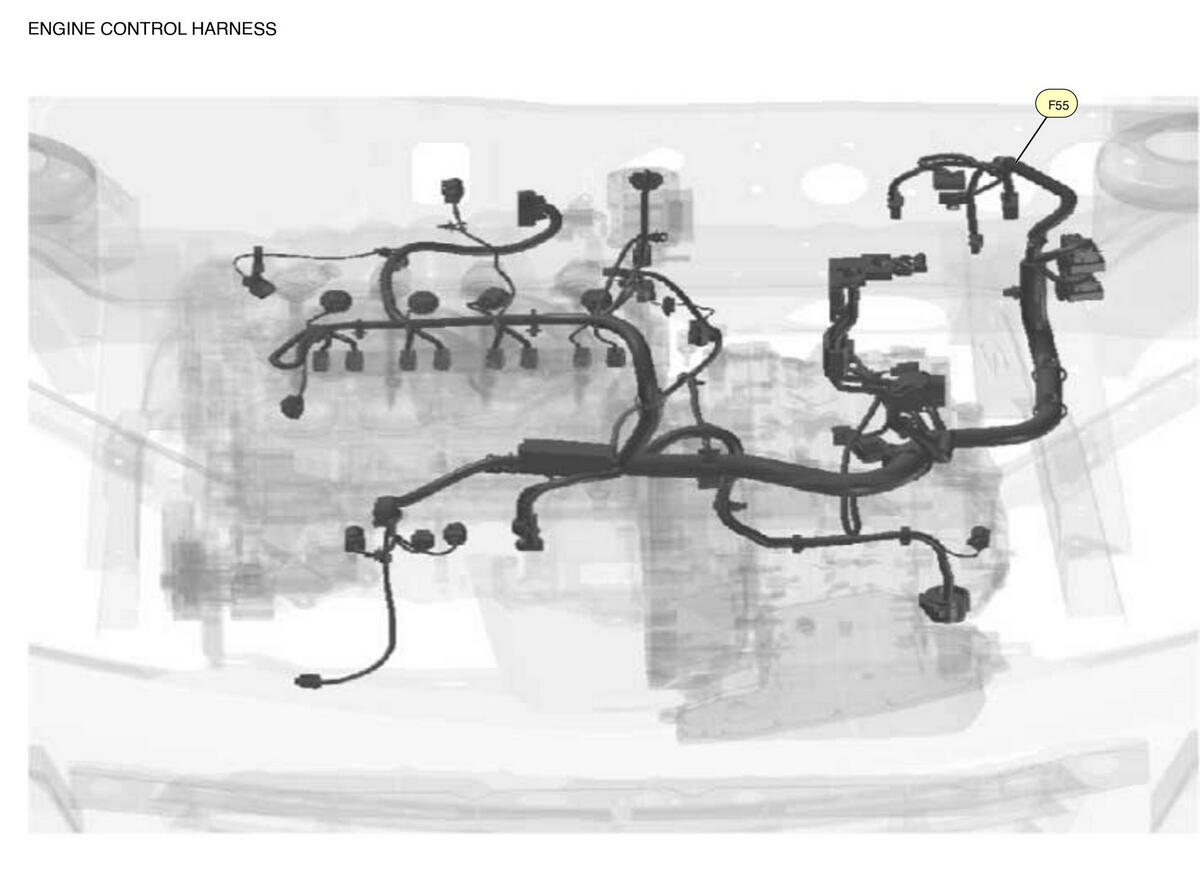 GNSW83164_LK_F055