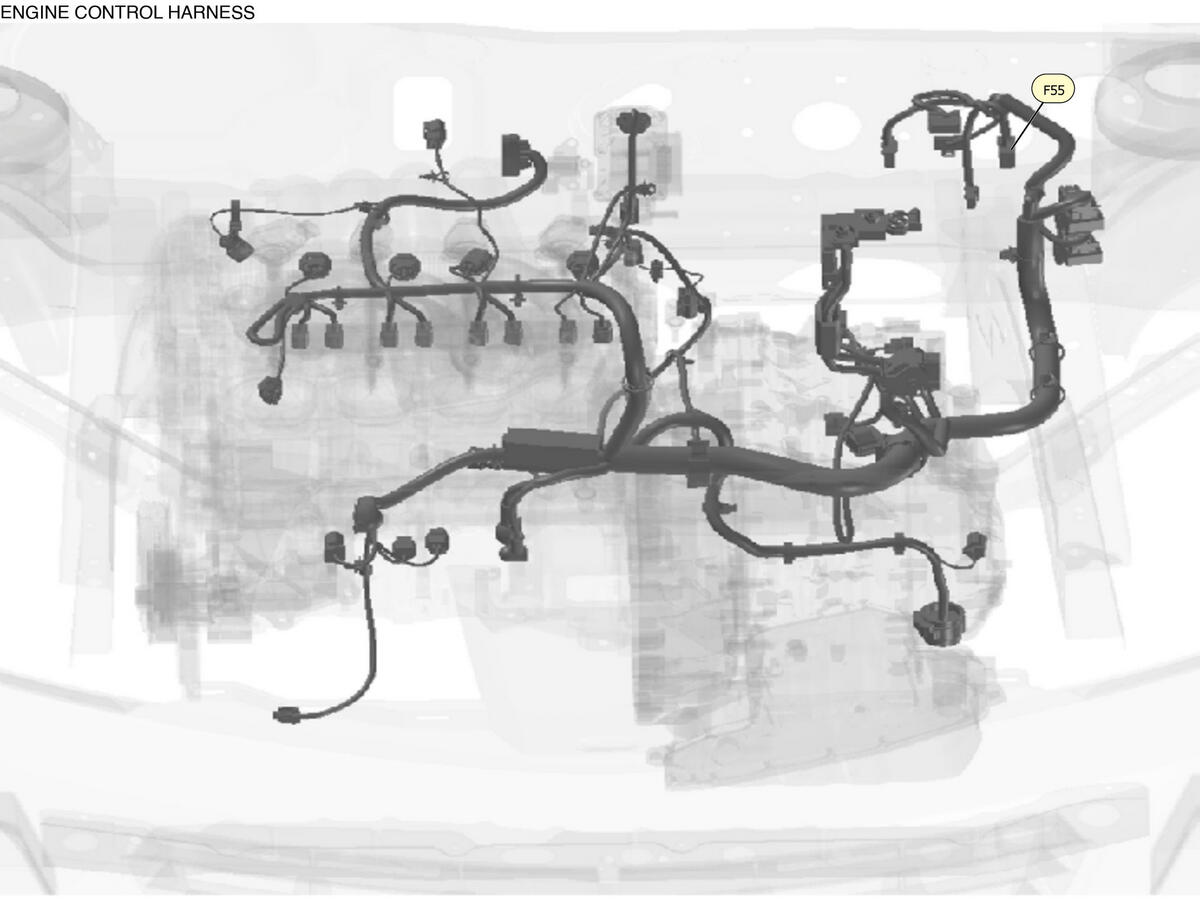 GNSW90111_LK_F055