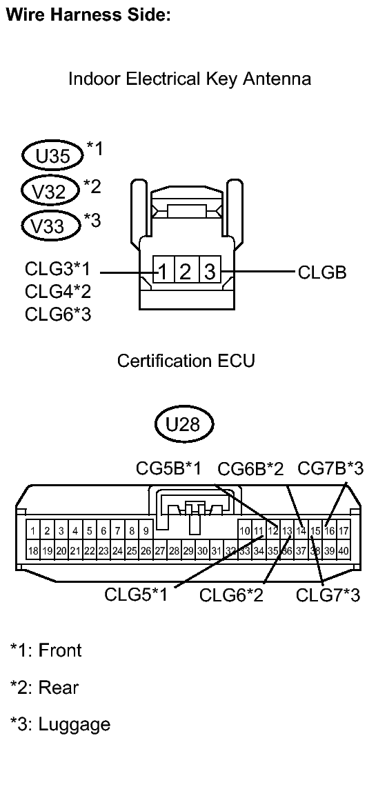 GTY128548