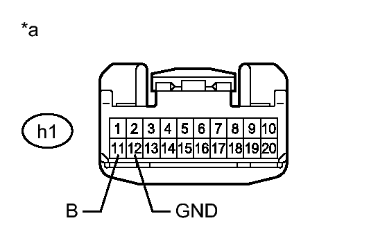 GTY219051