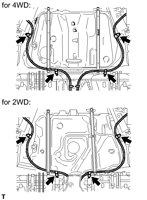 GTY238181