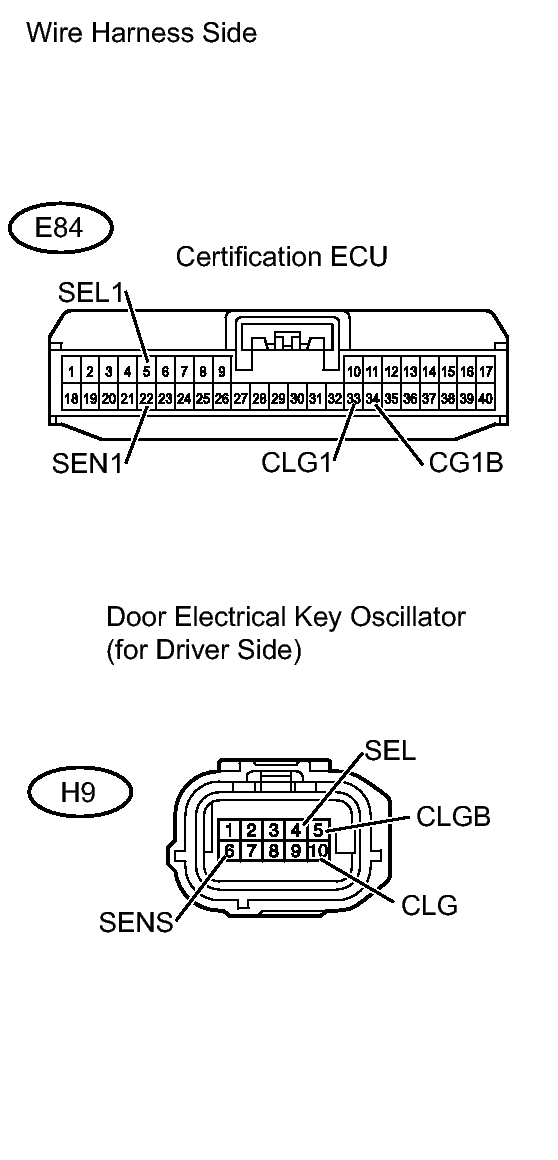 GTY336531