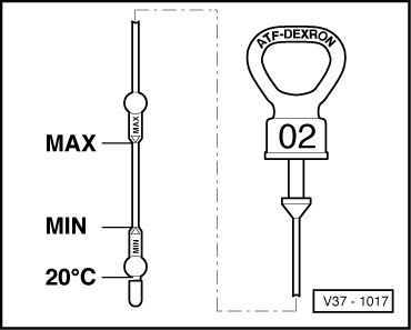 GWWV37-1017